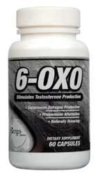 Ergopharm 6-OXO